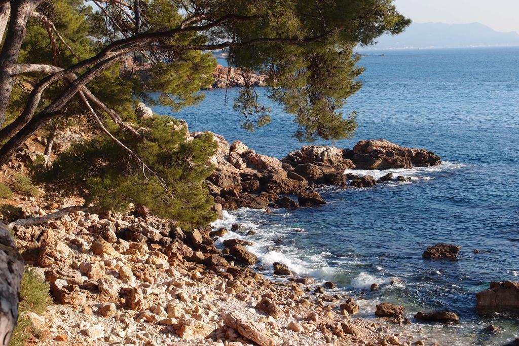 Au Coeur De La Ville Bandol Exterior photo